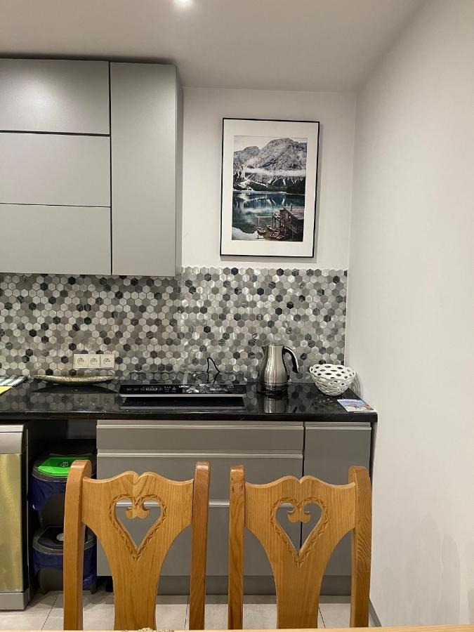 Apartamenty Ermitage Закопане Екстер'єр фото